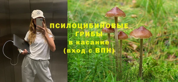 дмт Нефтегорск