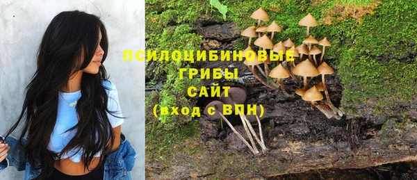 эйфоретик Новодвинск