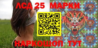 индика Ставрополь