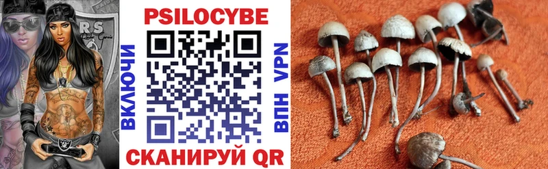 Псилоцибиновые грибы мицелий Саратов
