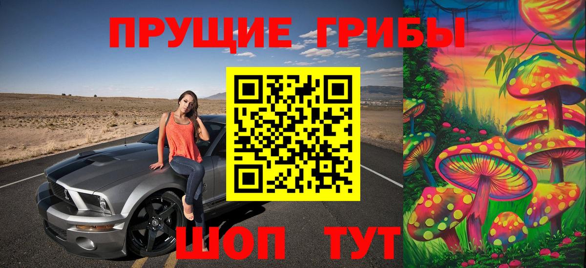 Галлюциногенные грибы Psilocybe Саратов